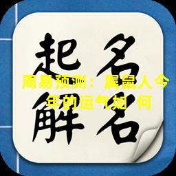 周易预测：属鼠人今  年的运气如  何